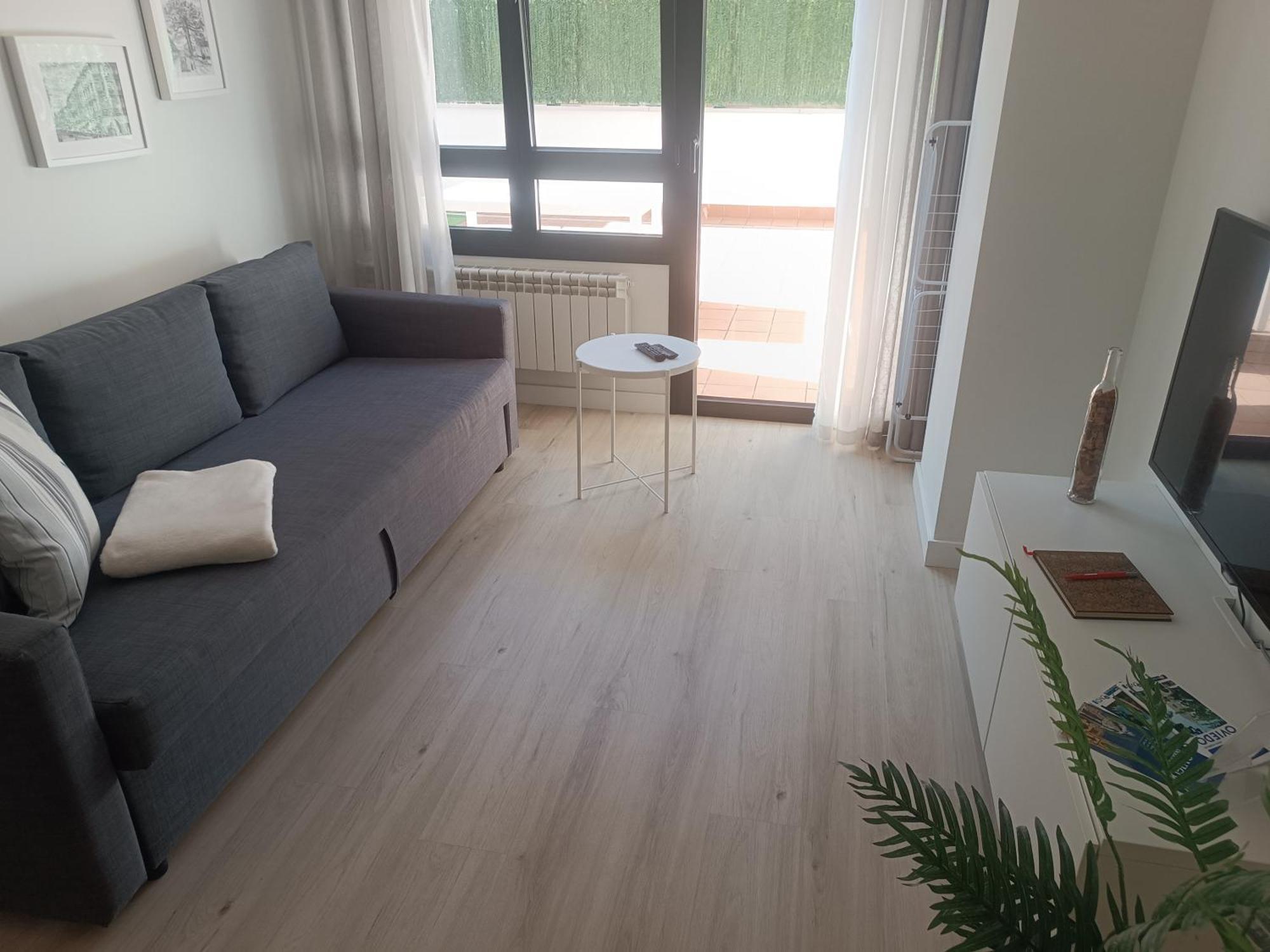 La Terraza De La Vega - Ubicacion Inmejorable , Wifi , Terraza Y Parking Gratuito Leilighet Oviedo Eksteriør bilde